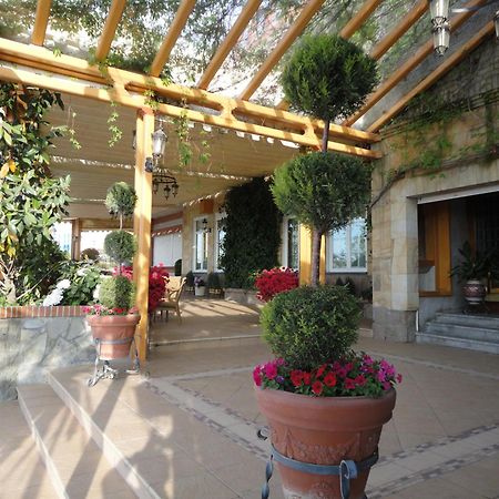 Hotel La Maruxina Ла-Аламеда-де-ла-Сагра Экстерьер фото